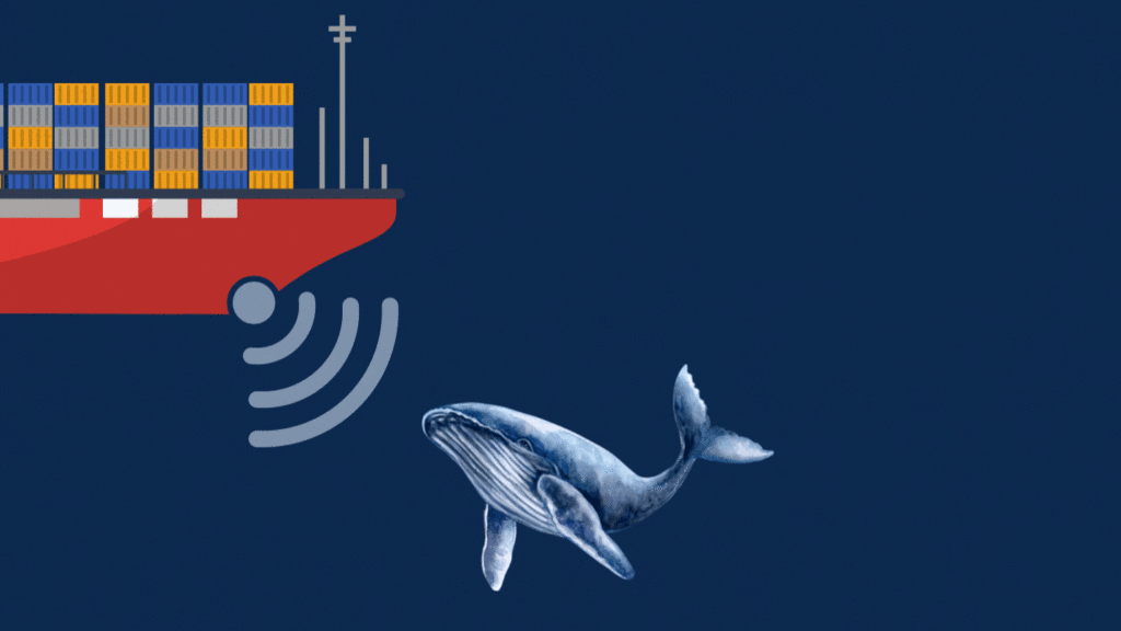 How could reinforcement learning stop whale-vessel collisions