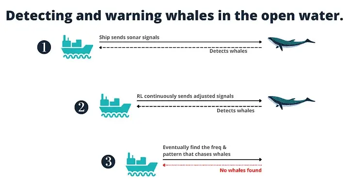 Detecting and warning whales in the open water