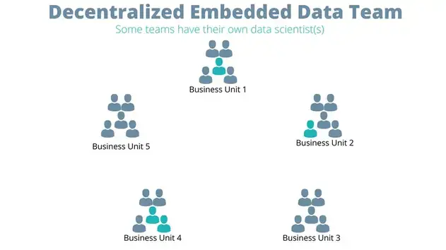 Embedded data teams