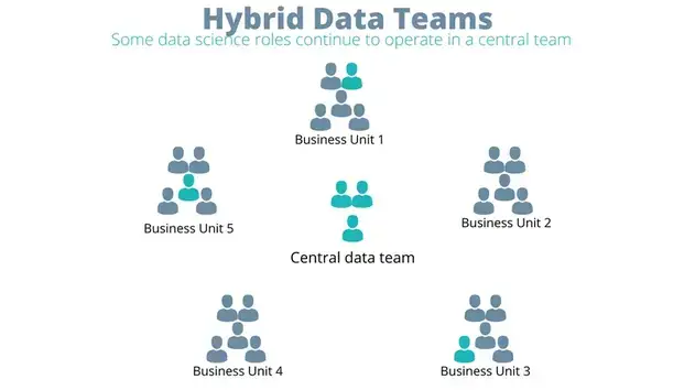 Hybrid data teams