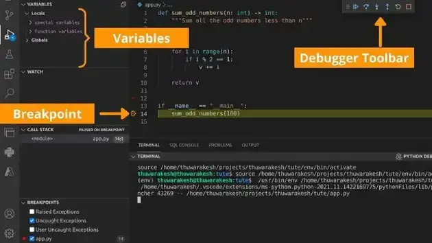 Live debugging at the breakpoint in VSCode