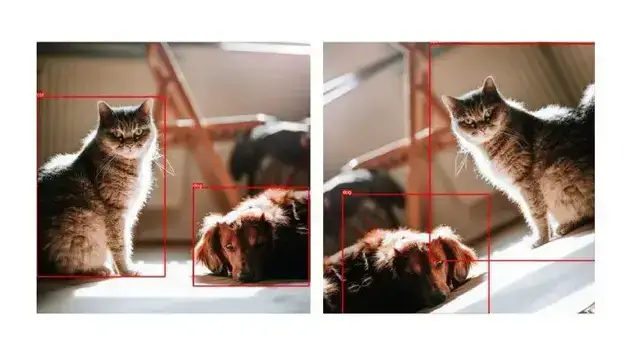 A good data augmentation tool should re-calculate the positions of the annotated objects in the transformed data automatically. For instance, this image is flipped and the position of the dog and cat are different now. However, the Python library for data augmentation, Albumentation re-annotated them well on the resulting image as well.